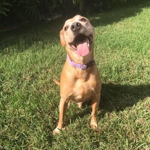 Meet your Posher, Kaitlyn